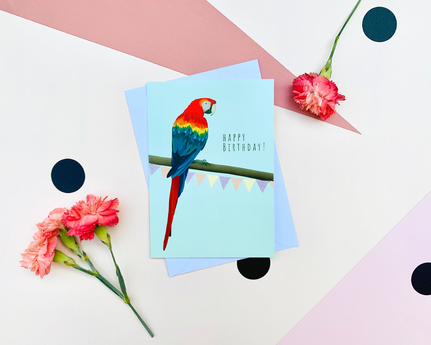 Parrot Happy Birthday Card
