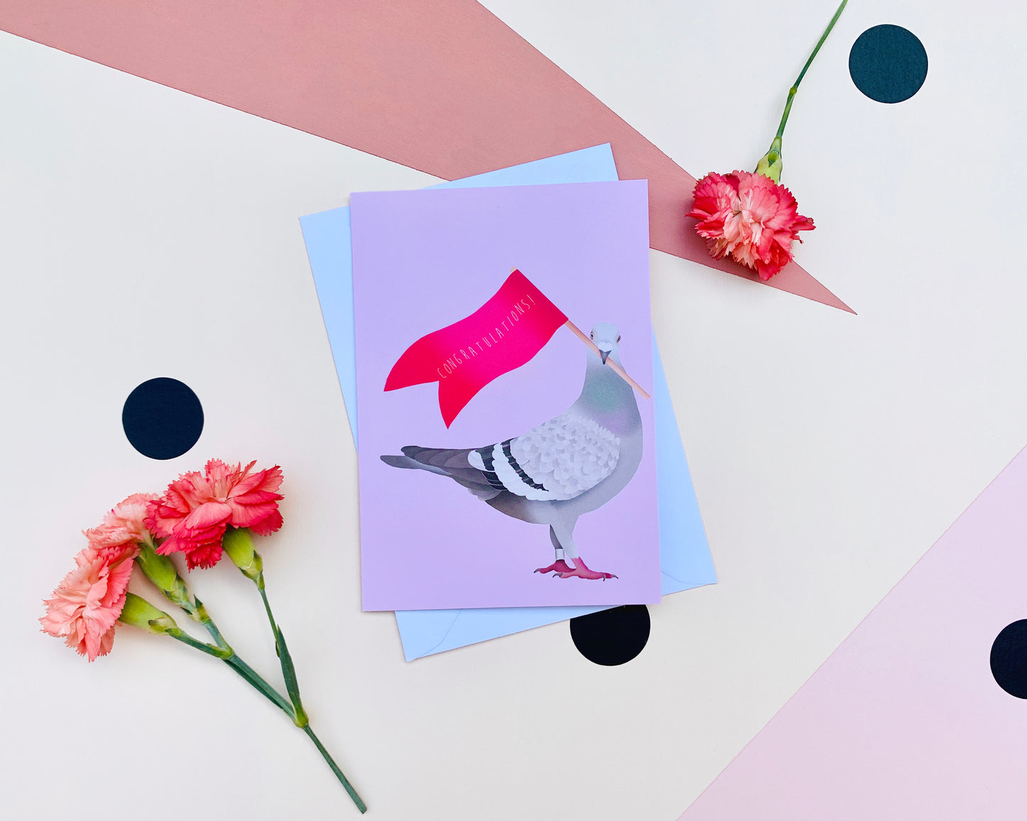 Pigeon Congratulations Card