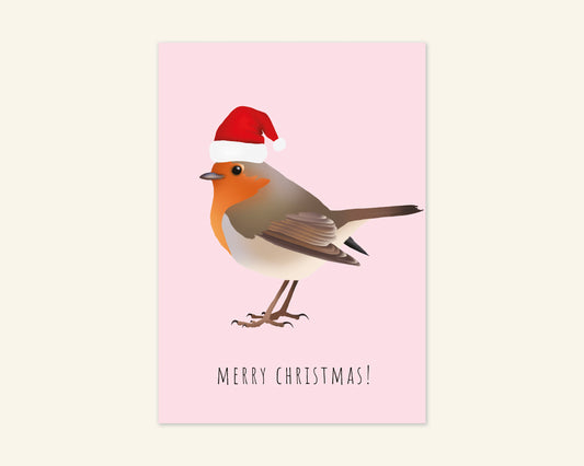 Robin Merry Christmas Card