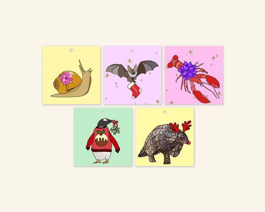 Colourful Christmas Gift Tag Bundle