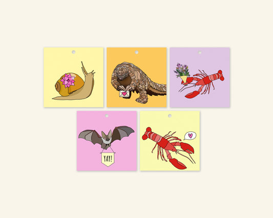 Colourful Celebration Gift Tags